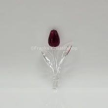 Lade das Bild in den Galerie-Viewer, SWAROVSKI SCS Tulpe Rot 626481 oU
