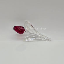 Lade das Bild in den Galerie-Viewer, SWAROVSKI SCS Tulpe Rot 626481 oU
