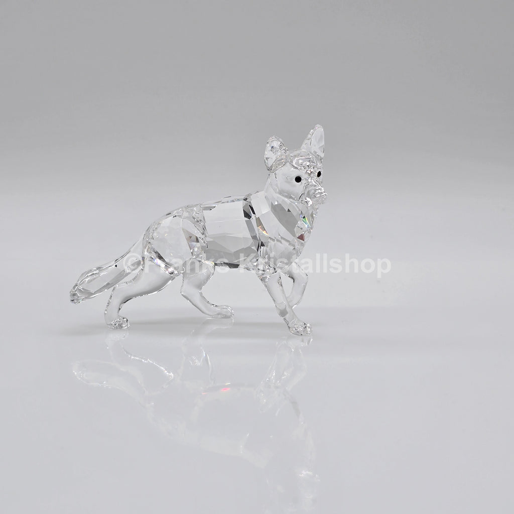 SWAROVSKI Schäferhund 5135912 oU