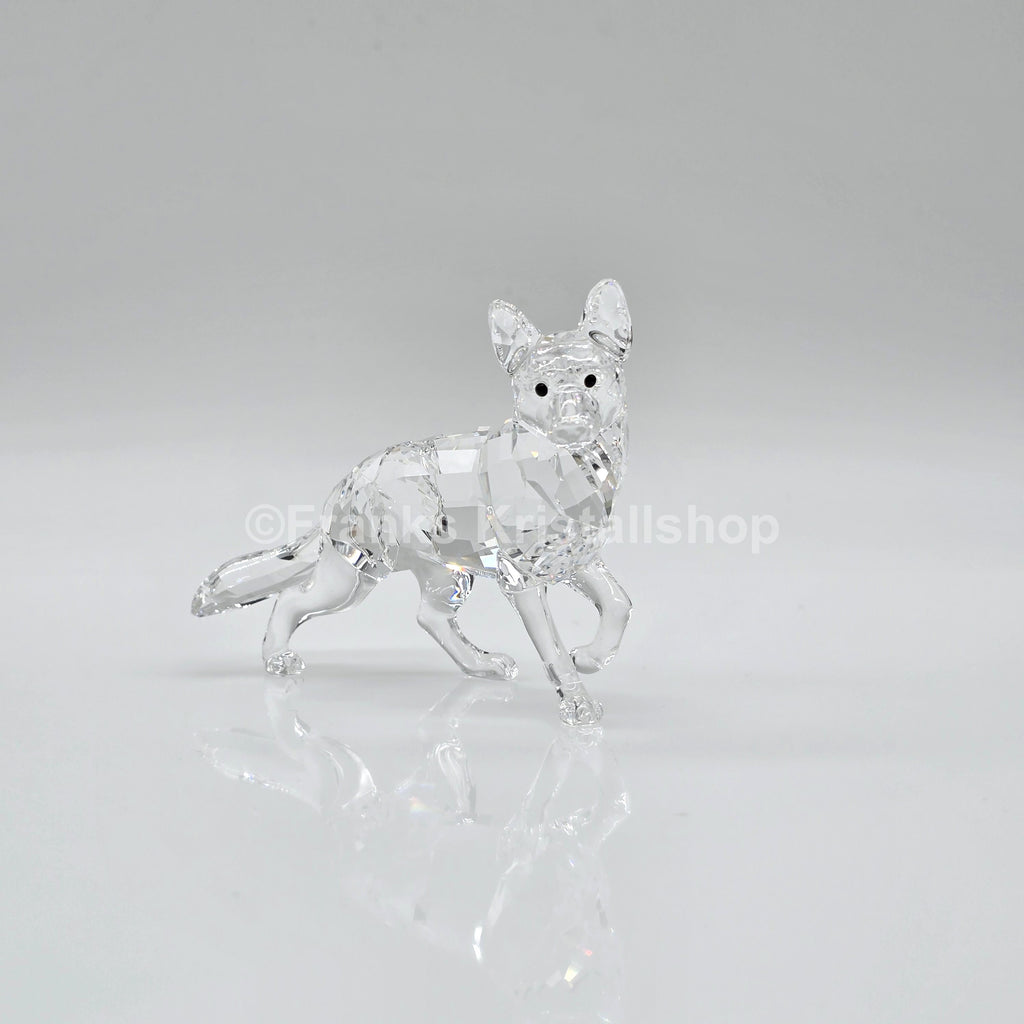 SWAROVSKI Schäferhund 5135912 oU