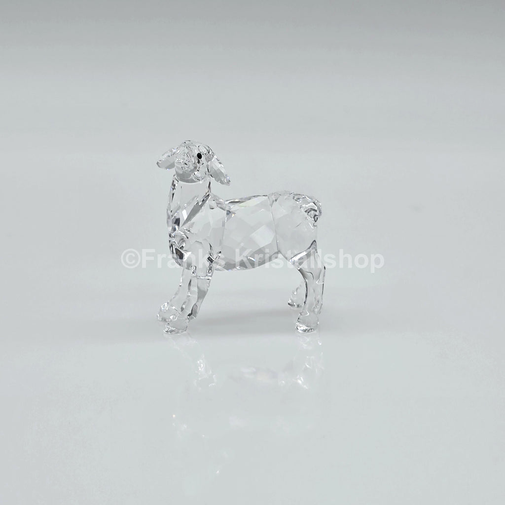 SWAROVSKI Weihnachtskrippe Schaf 5298145