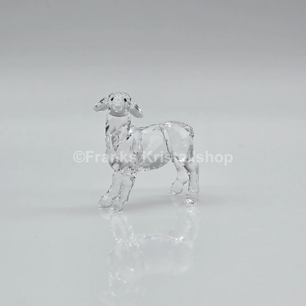 SWAROVSKI Weihnachtskrippe Schaf 5298145