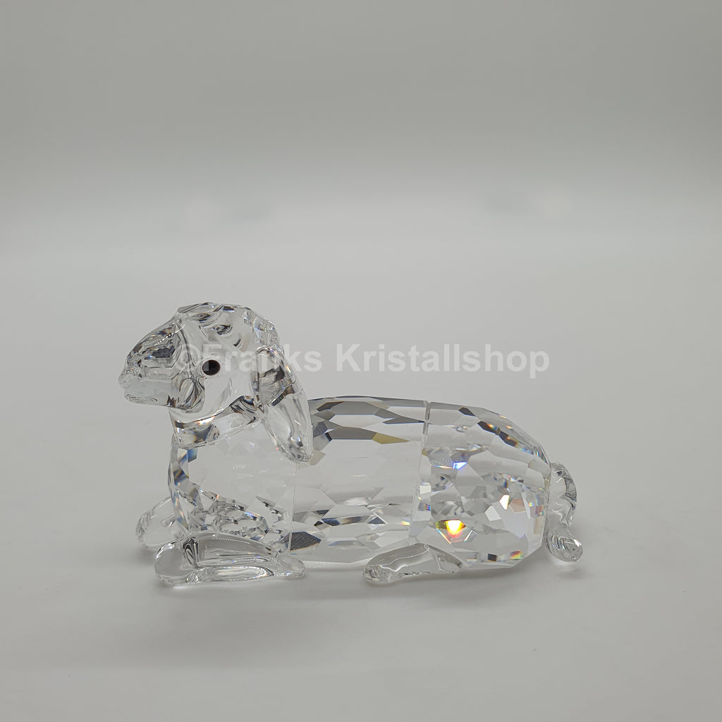 SWAROVSKI Sheep Ewe Lying 631437