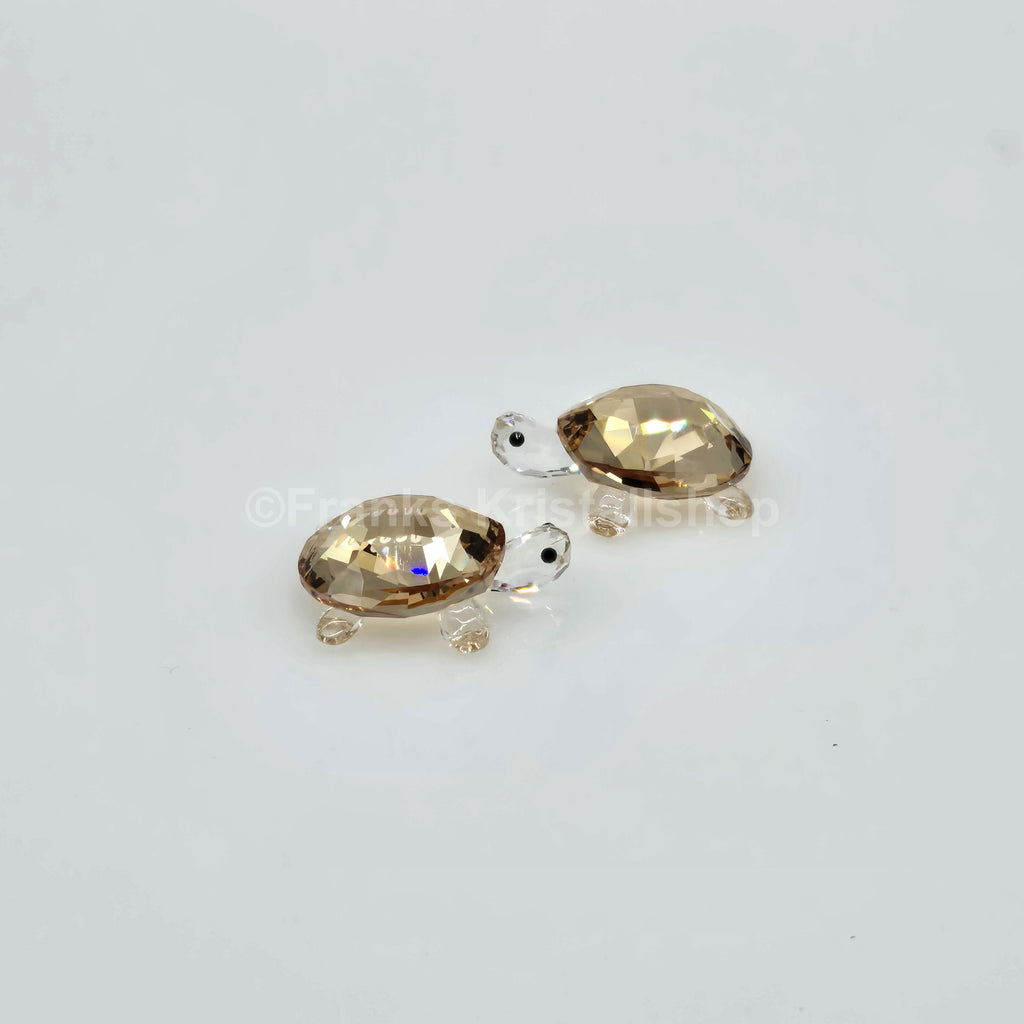 SWAROVSKI Schildkrötenbabys Golden Shadow 1130268