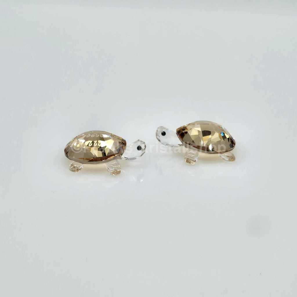 SWAROVSKI Schildkrötenbabys Golden Shadow 1130268