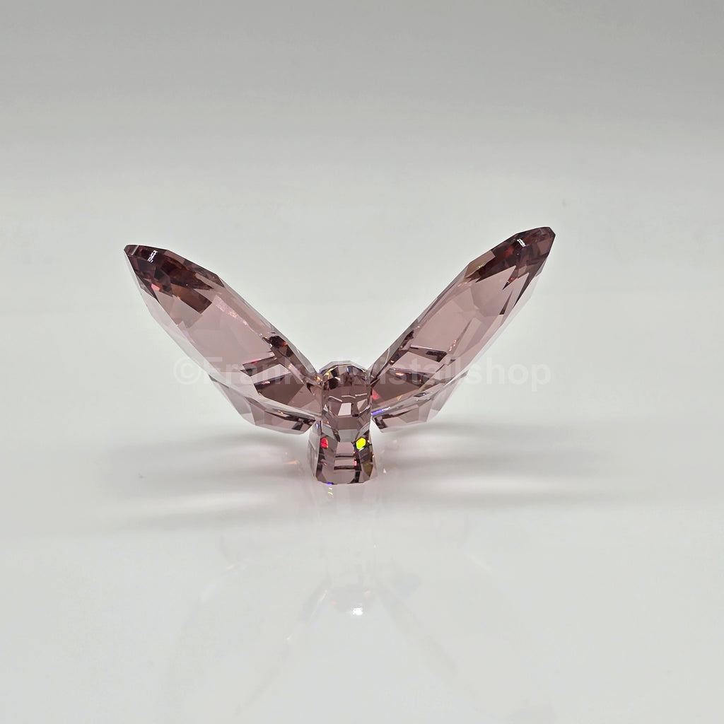 SWAROVSKI Paradise Schmetterling Light Amethyst 855739
