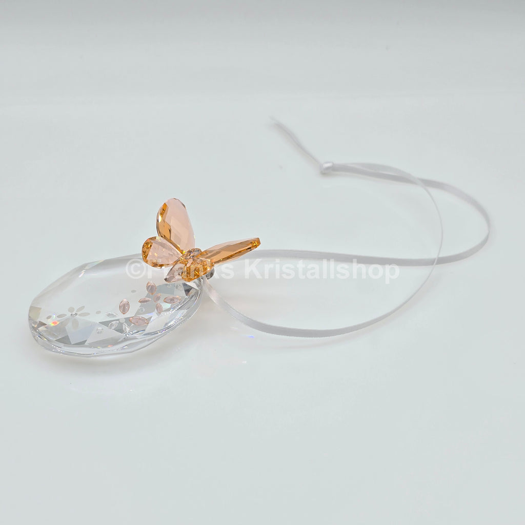 SWAROVSKI Schmetterling Fensterornament 899377 oU