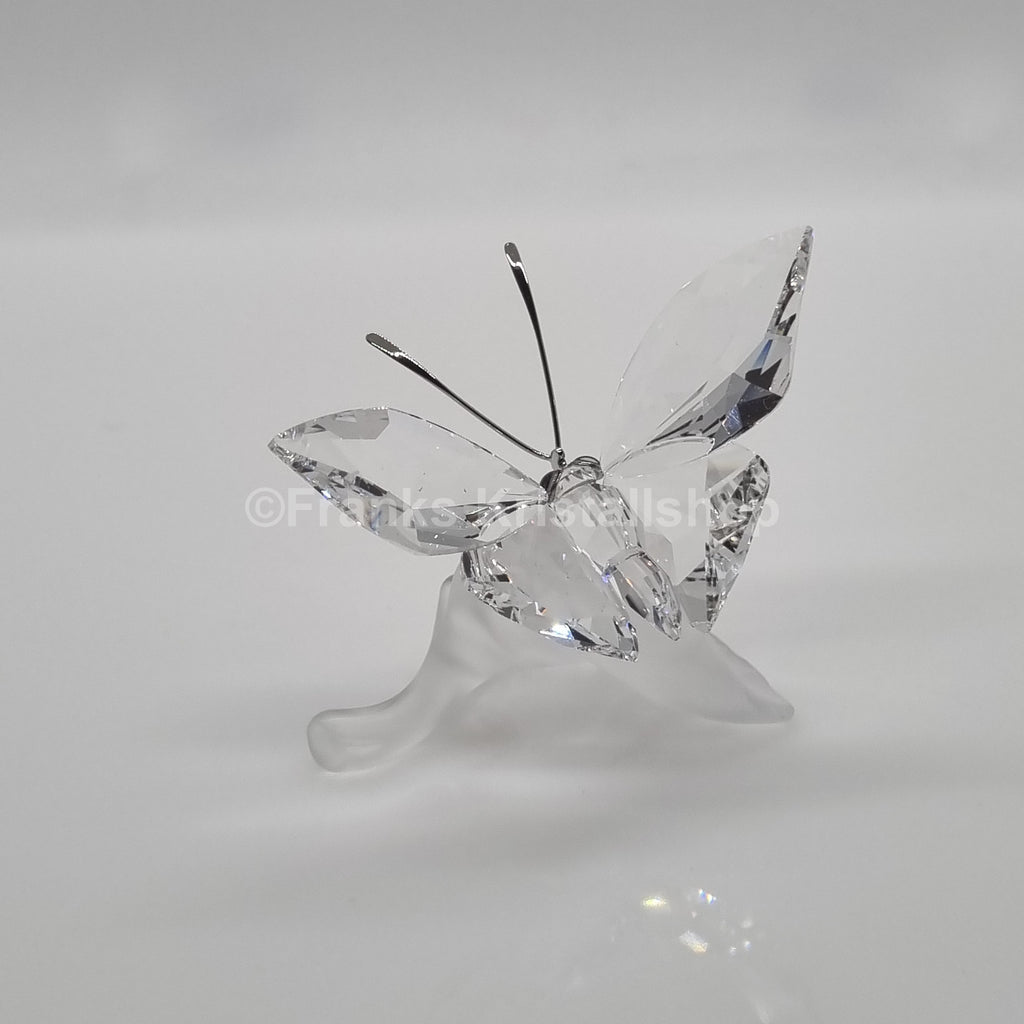SWAROVSKI Schmetterling auf Blatt 182920