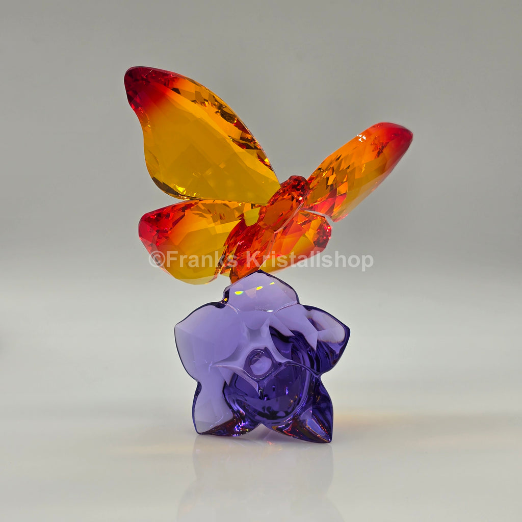 SWAROVSKI Crystal Paradise Schmetterling auf Blüte 5374943 oU