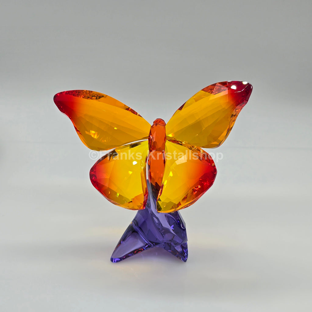 SWAROVSKI Crystal Paradise Schmetterling auf Blüte 5374943 oU