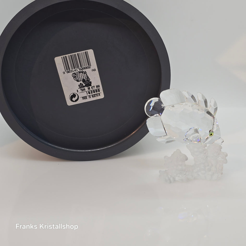SWAROVSKI Schmetterlingsfisch 162888