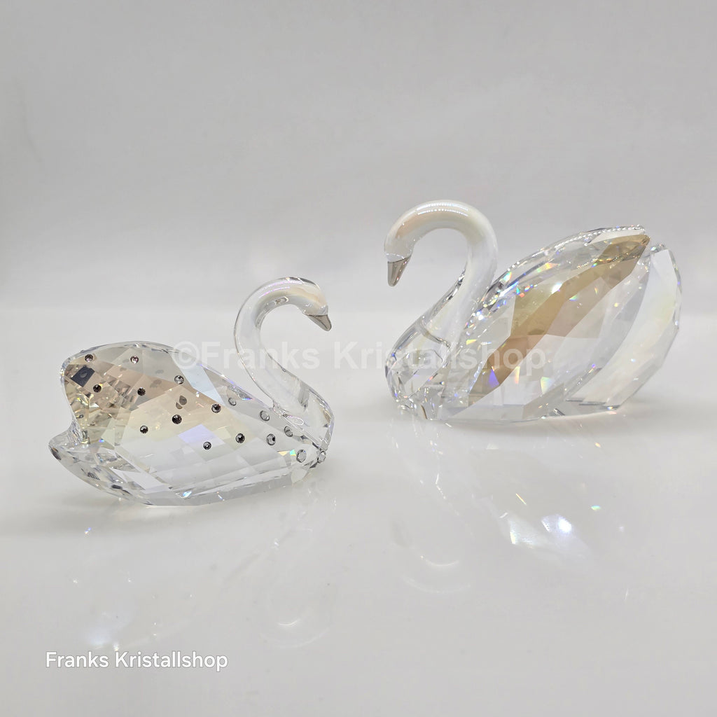 SWAROVSKI Schwäne Schwan Verliebt 1143414