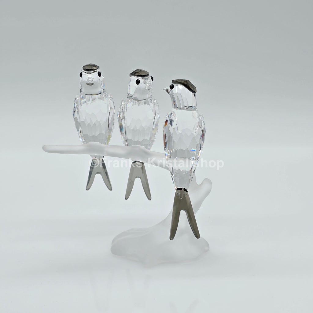SWAROVSKI Schwalben 892039