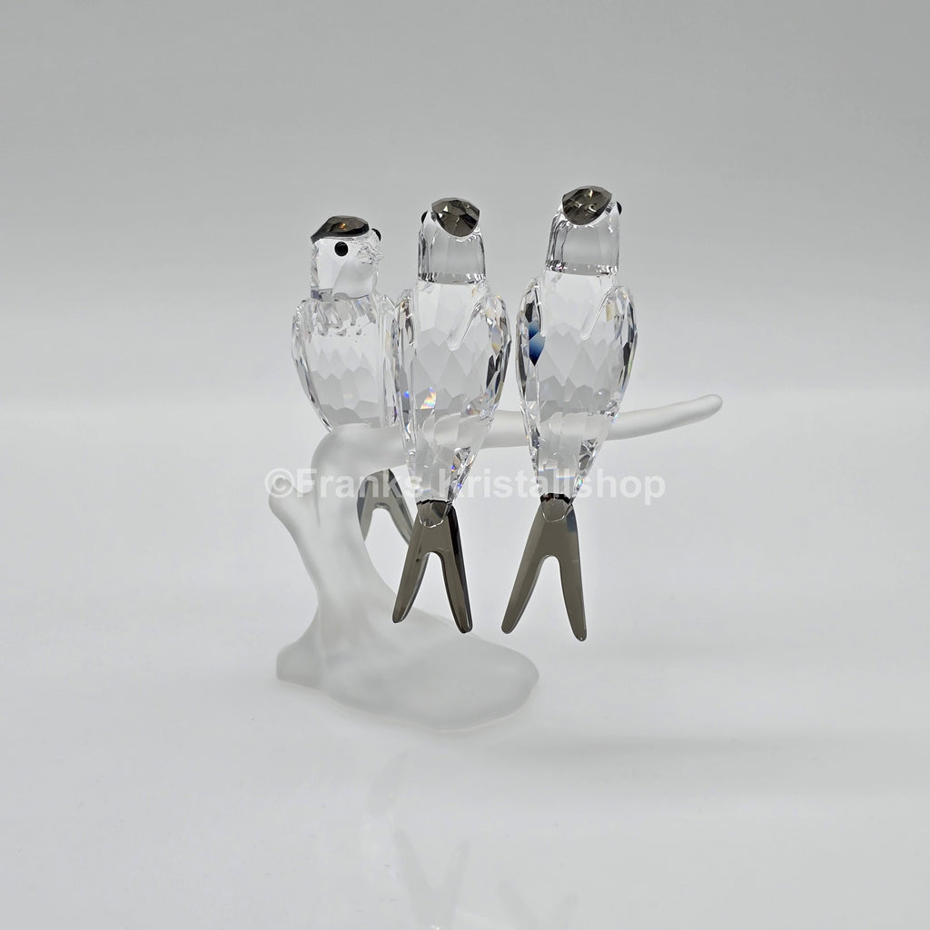 SWAROVSKI Schwalben 892039