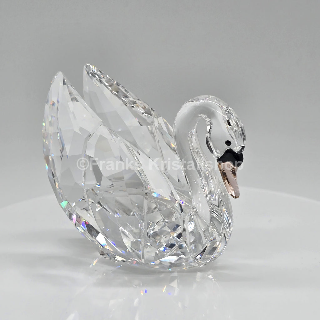 SWAROVSKI Schwan groß Gefiederte Schönheiten 5004723