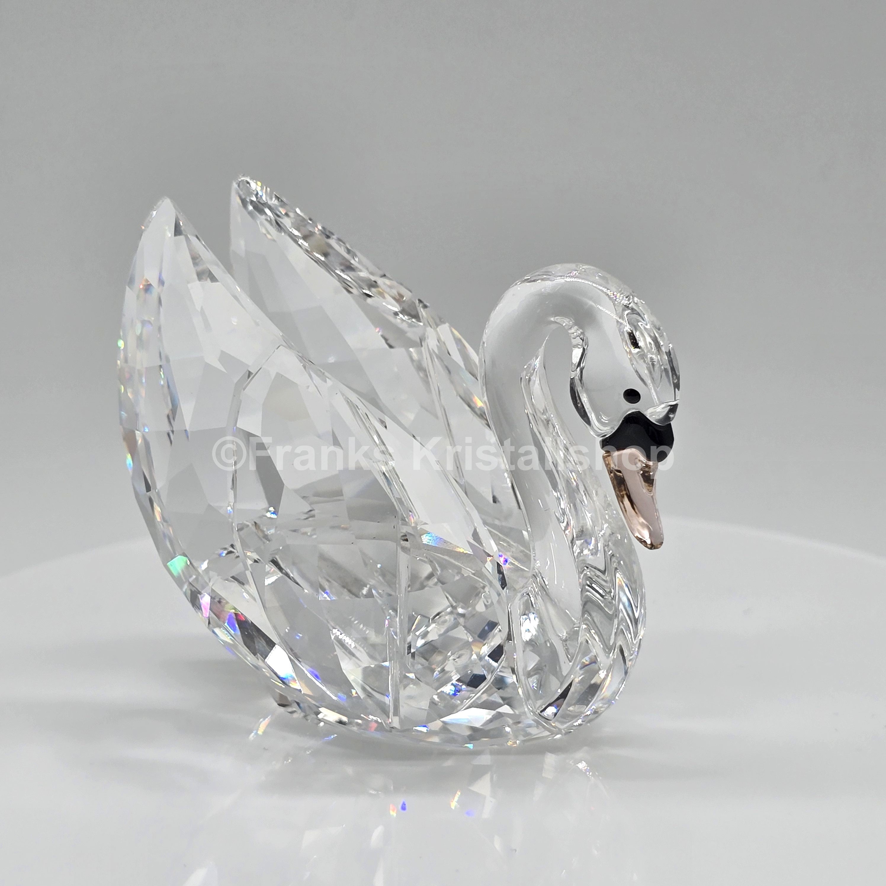 SWAROVSKI Schwan groß Gefiederte Schönheiten 5004723