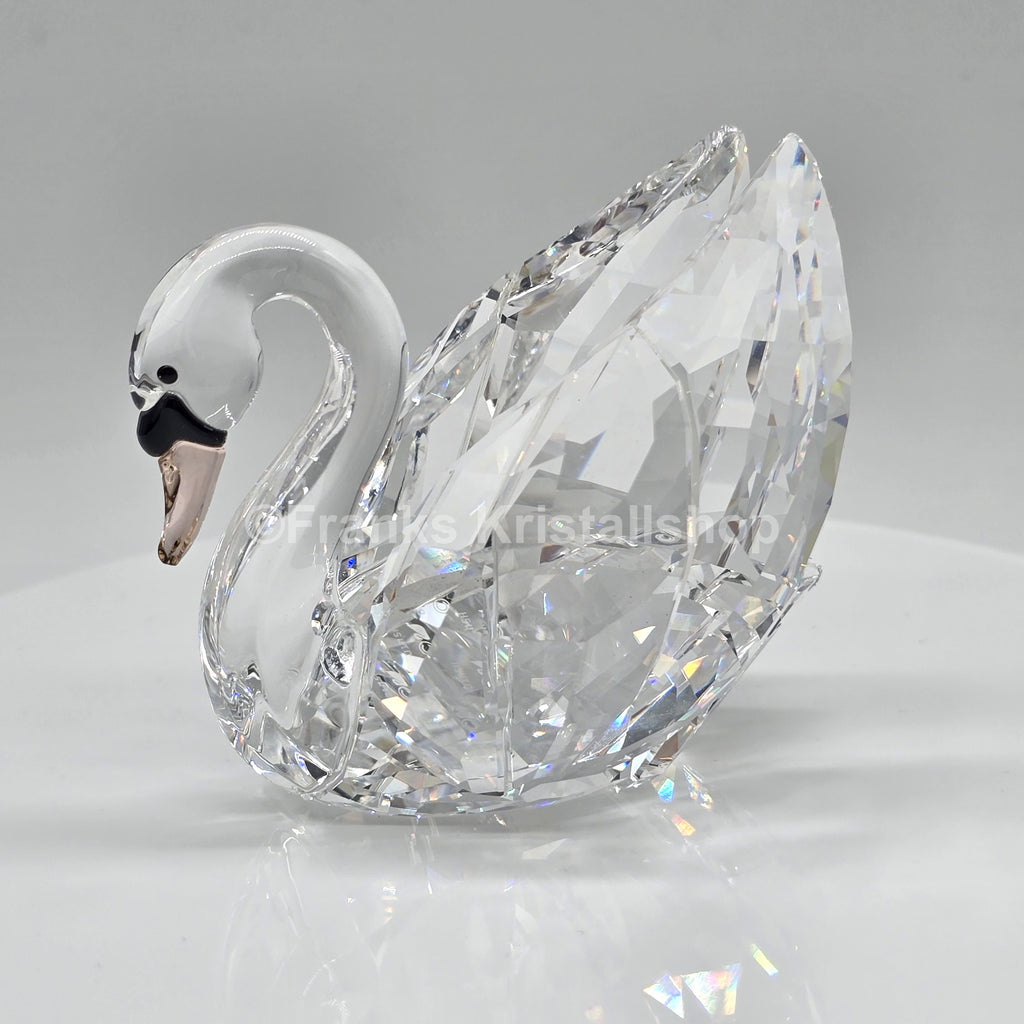 SWAROVSKI Schwan groß Gefiederte Schönheiten 5004723