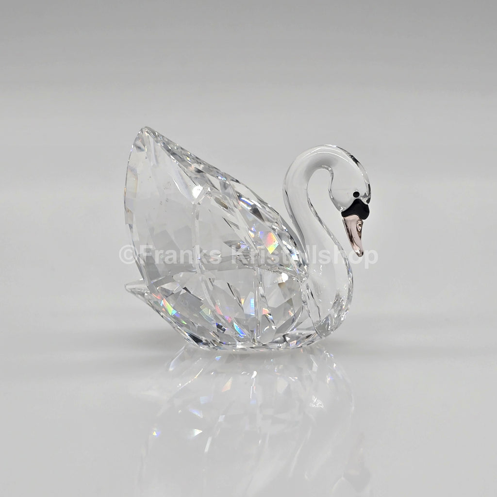 SWAROVSKI Schwan mittel Gefiederte Schönheiten 5004724