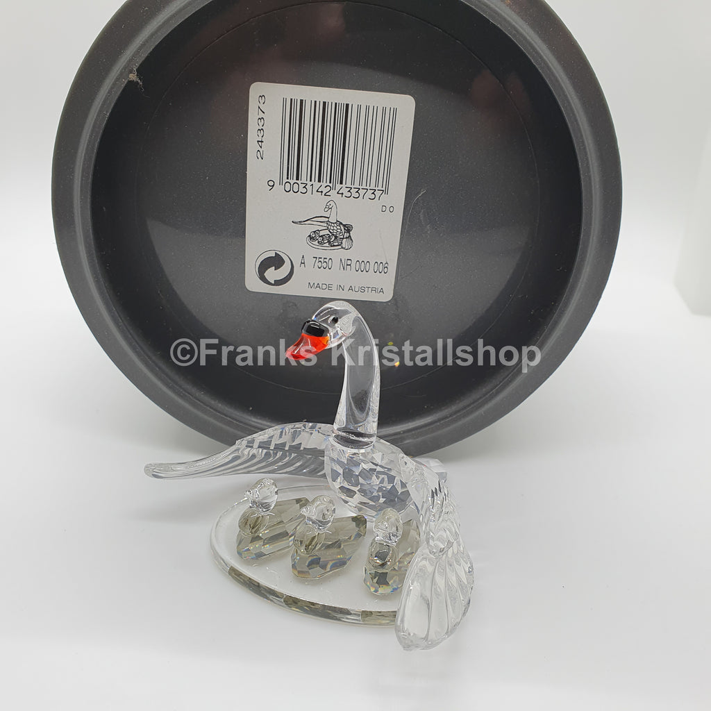 SWAROVSKI Schwanenfamilie 243373