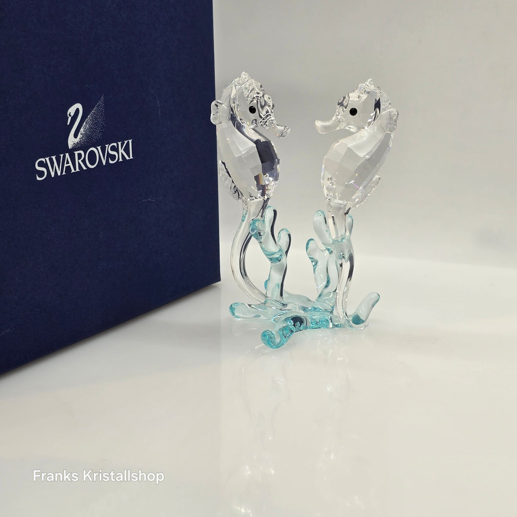 SWAROVSKI Seepferdchen Color Light Azore 885589