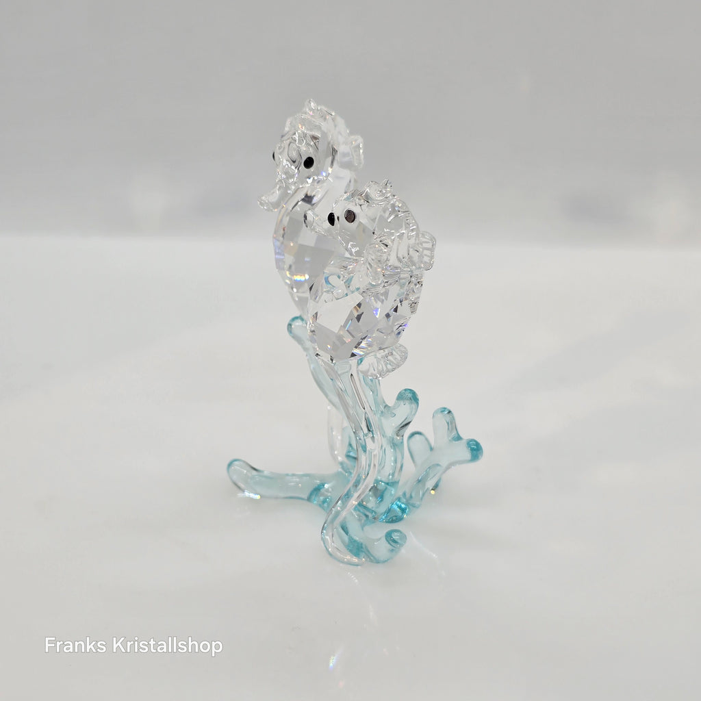 SWAROVSKI Seepferdchen Color Light Azore 885589