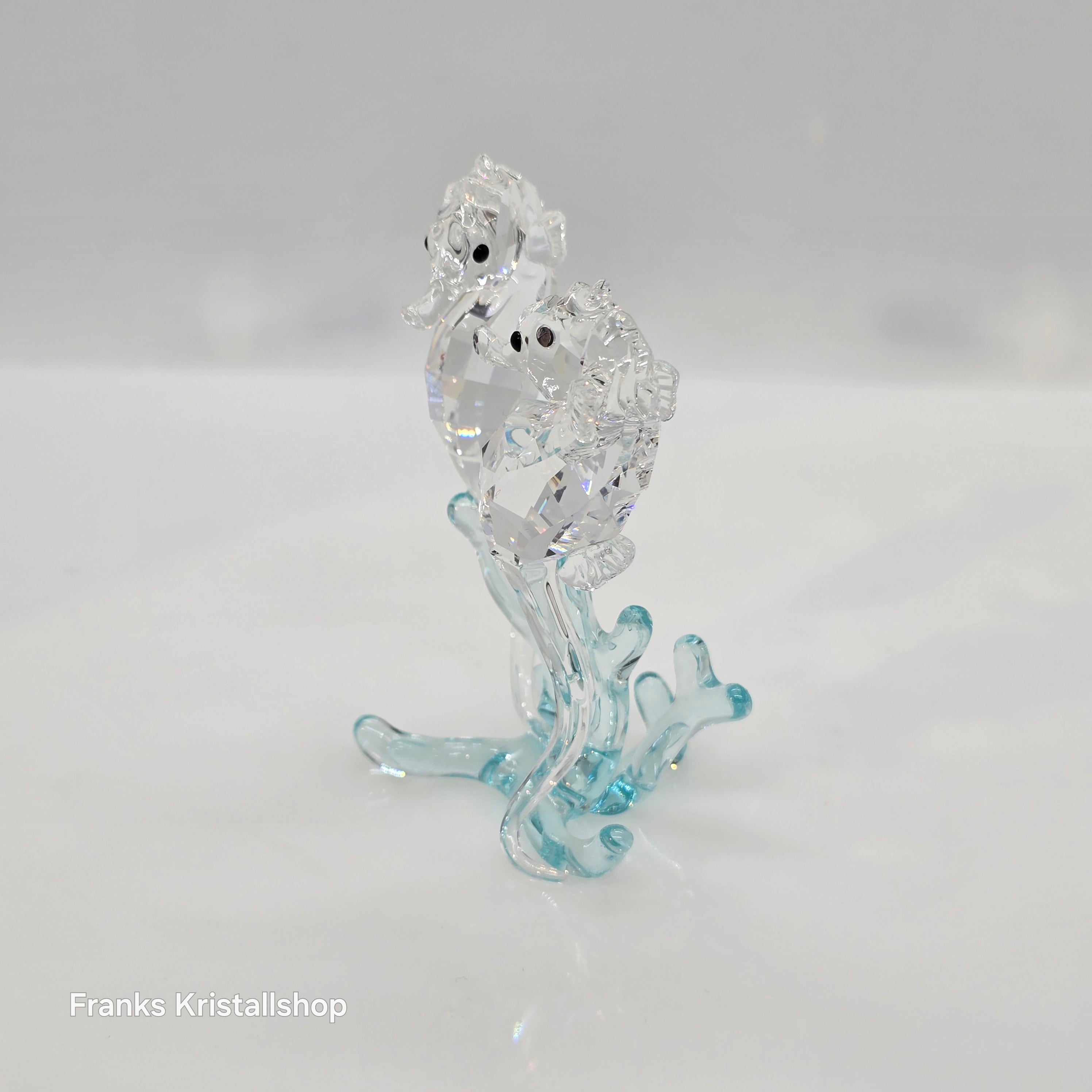 SWAROVSKI Seepferdchen Color Light Azore 885589