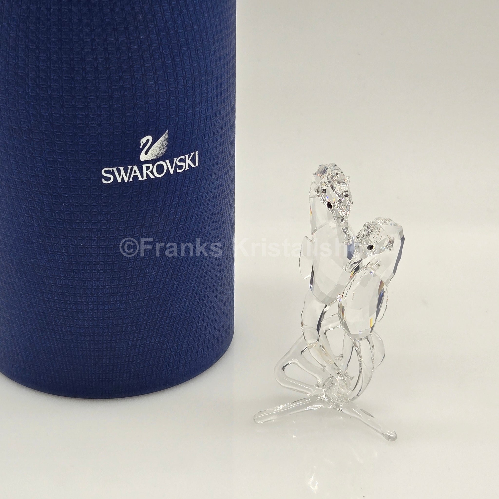 Store Swarovski Seepferdchen