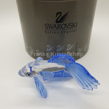 Lade das Bild in den Galerie-Viewer, SWAROVSKI Schleierkampffisch Blau 236718
