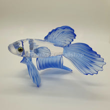Lade das Bild in den Galerie-Viewer, SWAROVSKI Schleierkampffisch Blau 236718
