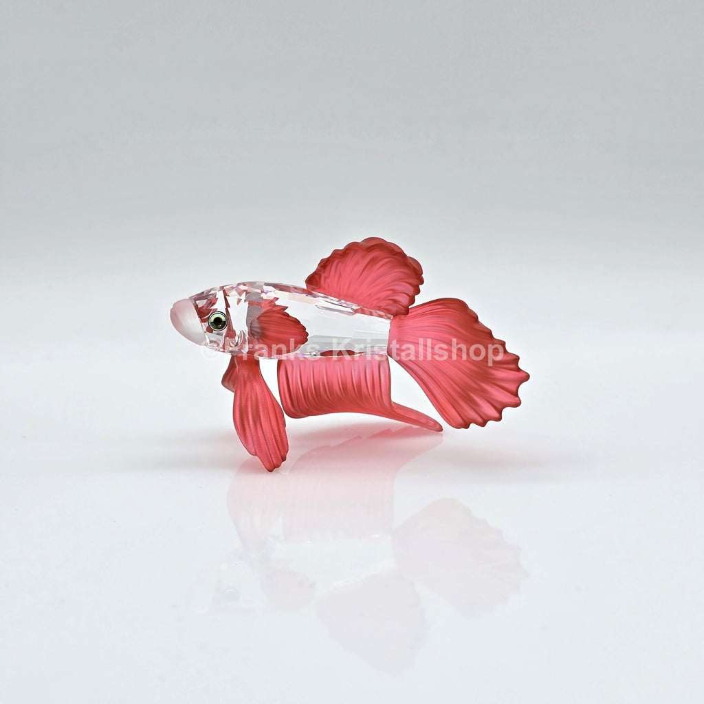 SWAROVSKI Siamesischer Schleierkampffisch Rot 660941