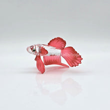 Lade das Bild in den Galerie-Viewer, SWAROVSKI Siamesischer Schleierkampffisch Rot 660941
