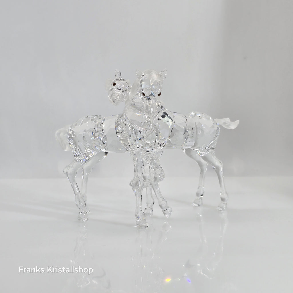 SWAROVSKI Spielende Fohlen Klar 627637