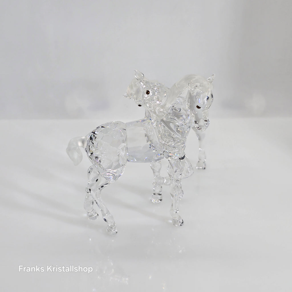 SWAROVSKI Spielende Fohlen Klar 627637