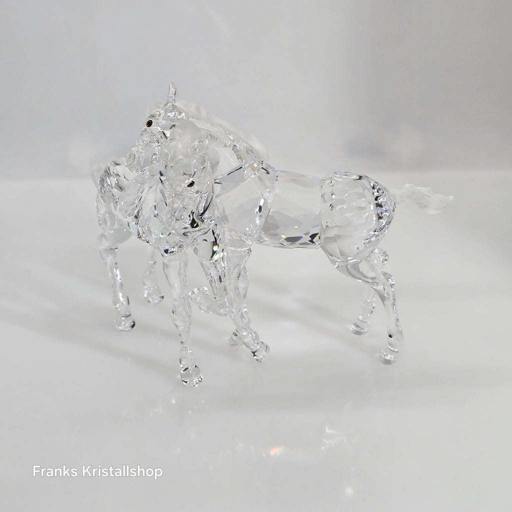 SWAROVSKI Spielende Fohlen Klar 627637