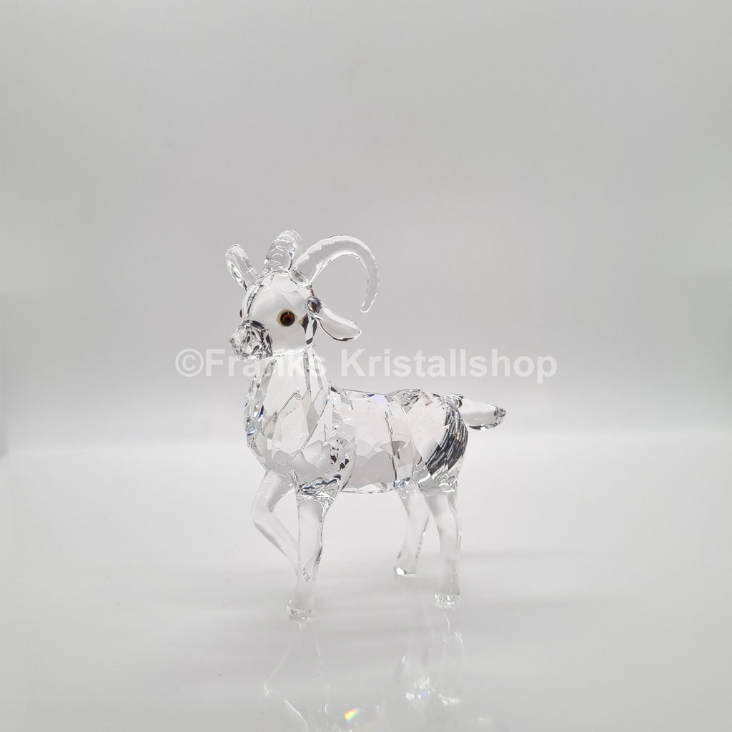 SWAROVSKI Steinbock Winter Sparkle 5464877
