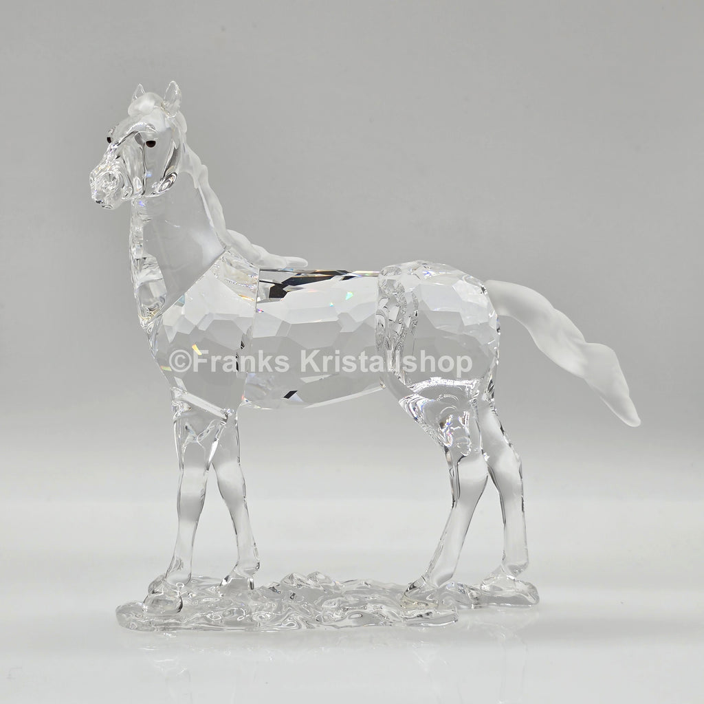 SWAROVSKI Stute 860864 oU