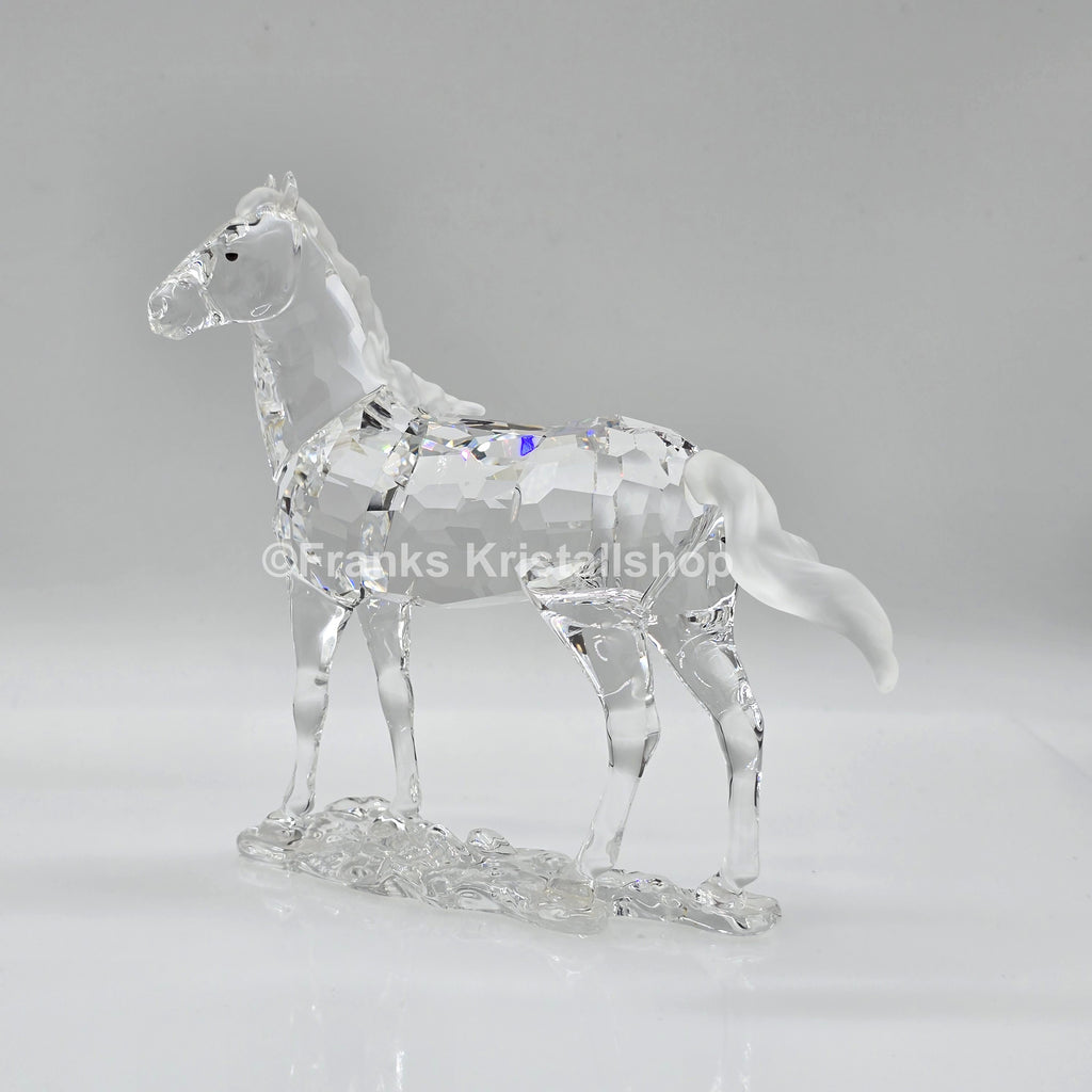 SWAROVSKI Stute 860864 oU