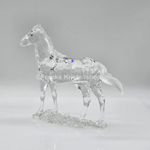 Lade das Bild in den Galerie-Viewer, SWAROVSKI Stute 860864 oU
