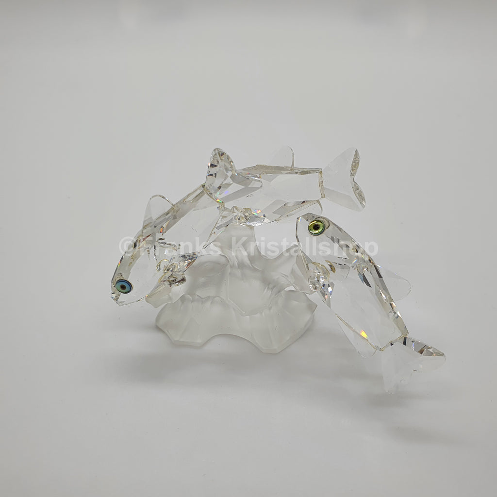 SWAROVSKI 3 Südseefische 171709
