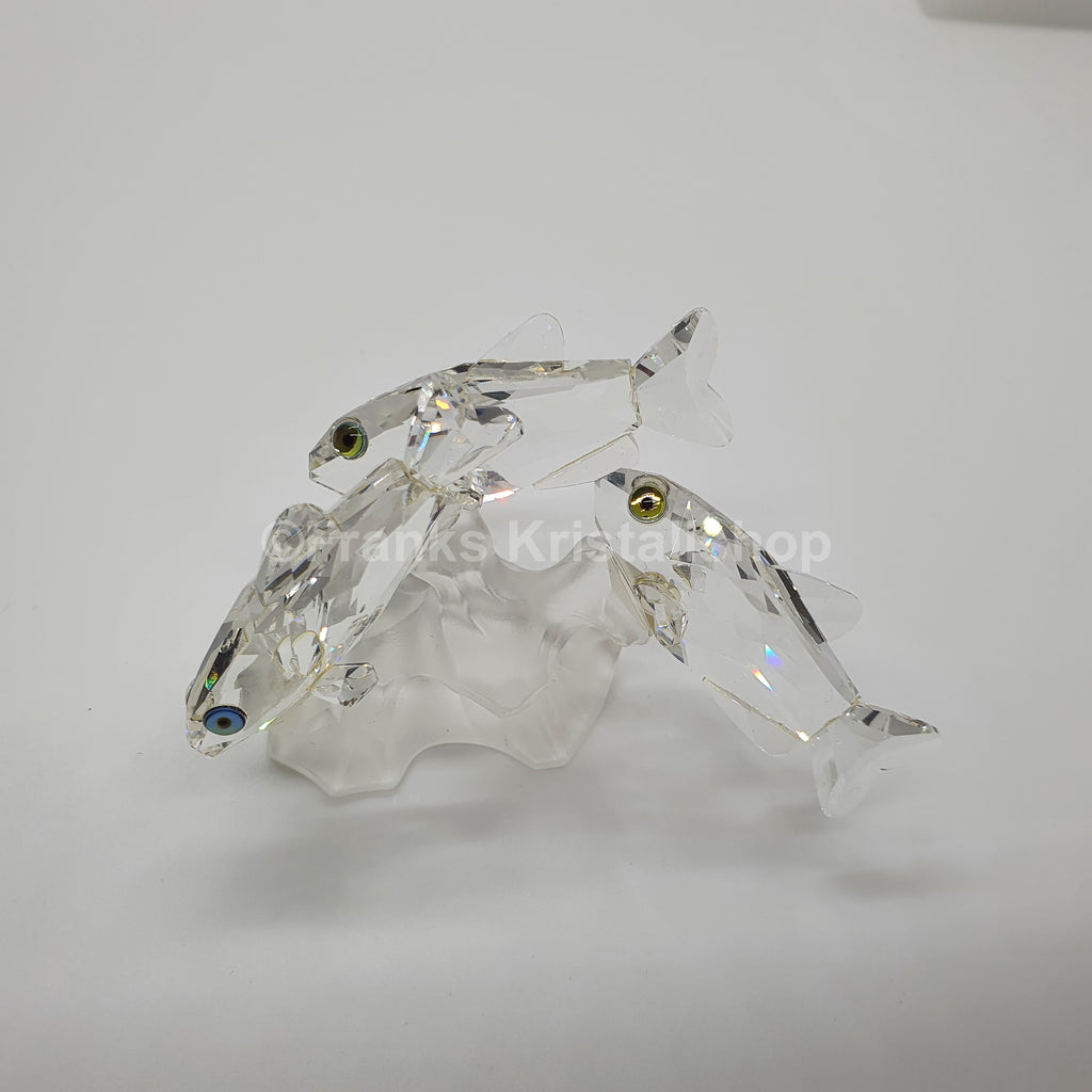 SWAROVSKI 3 Südseefische 171709