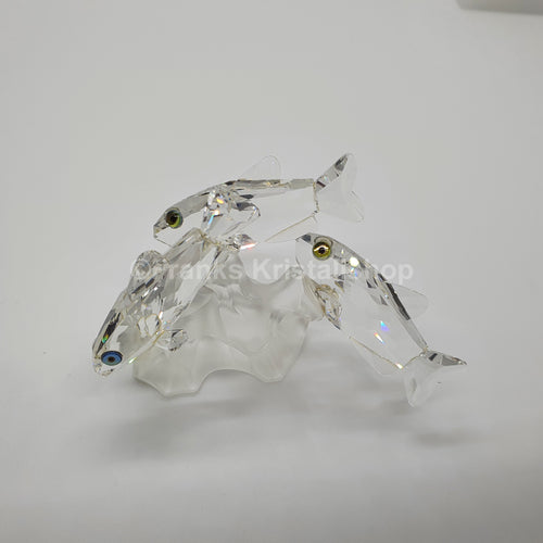 SWAROVSKI 3 Südseefische 171709