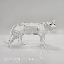 Lade das Bild in den Galerie-Viewer, SWAROVSKI Tiger 220470
