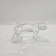 Lade das Bild in den Galerie-Viewer, SWAROVSKI Tiger 220470
