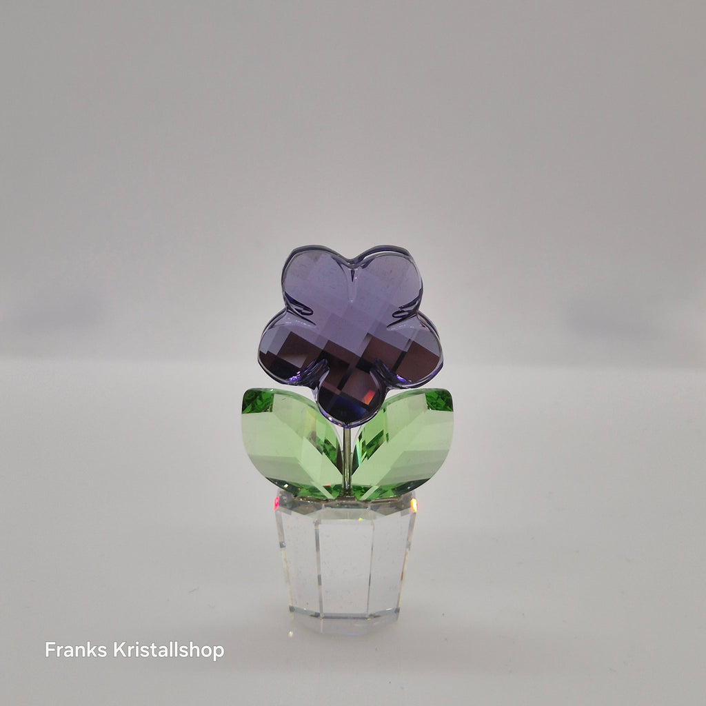 SWAROVSKI Blumenträume Veilchen im Blumentopf 855897 oU