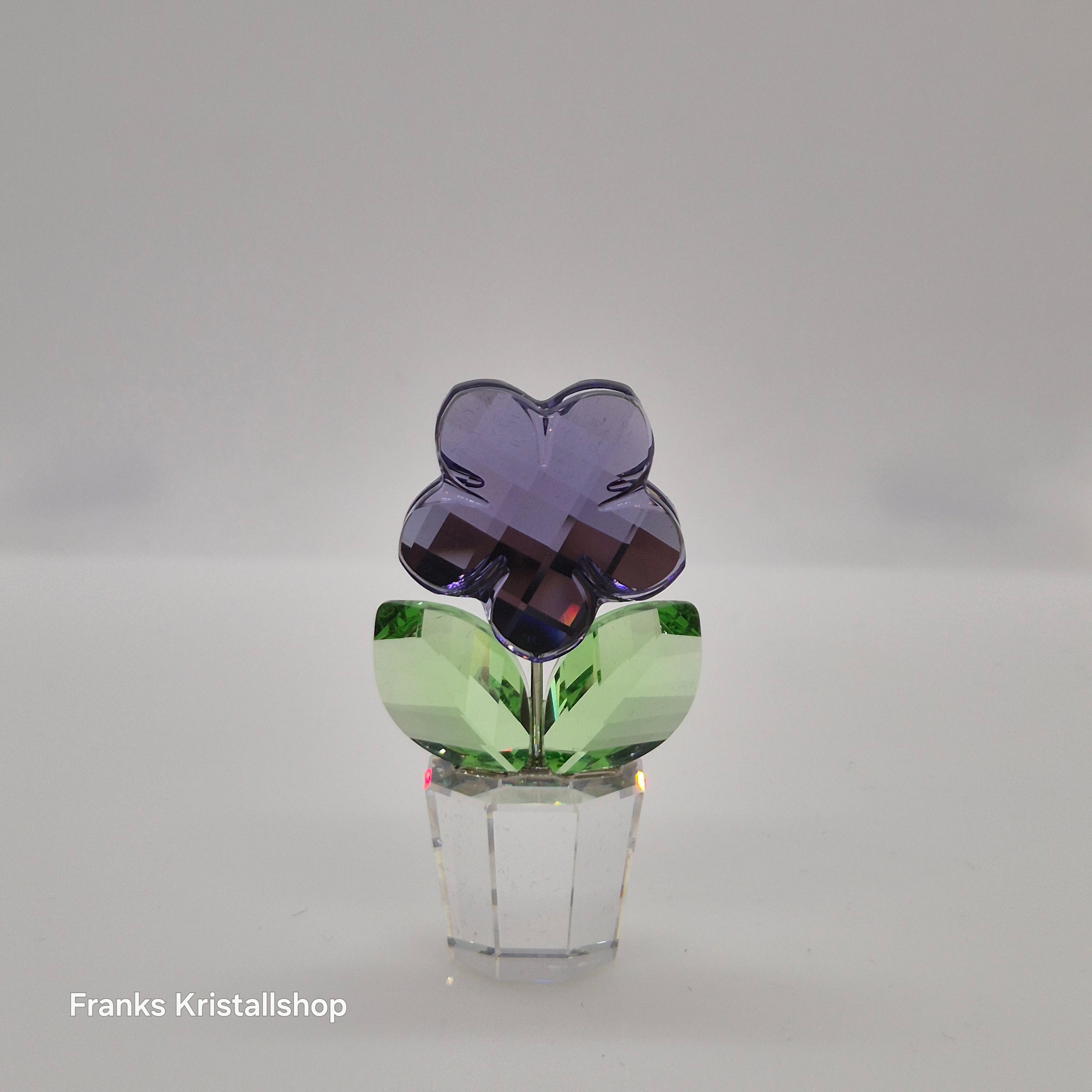 SWAROVSKI Blumenträume Veilchen im Blumentopf 855897 oU