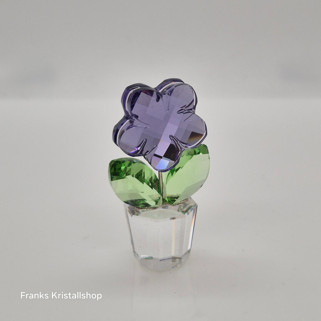 SWAROVSKI Blumenträume Veilchen im Blumentopf 855897 oU