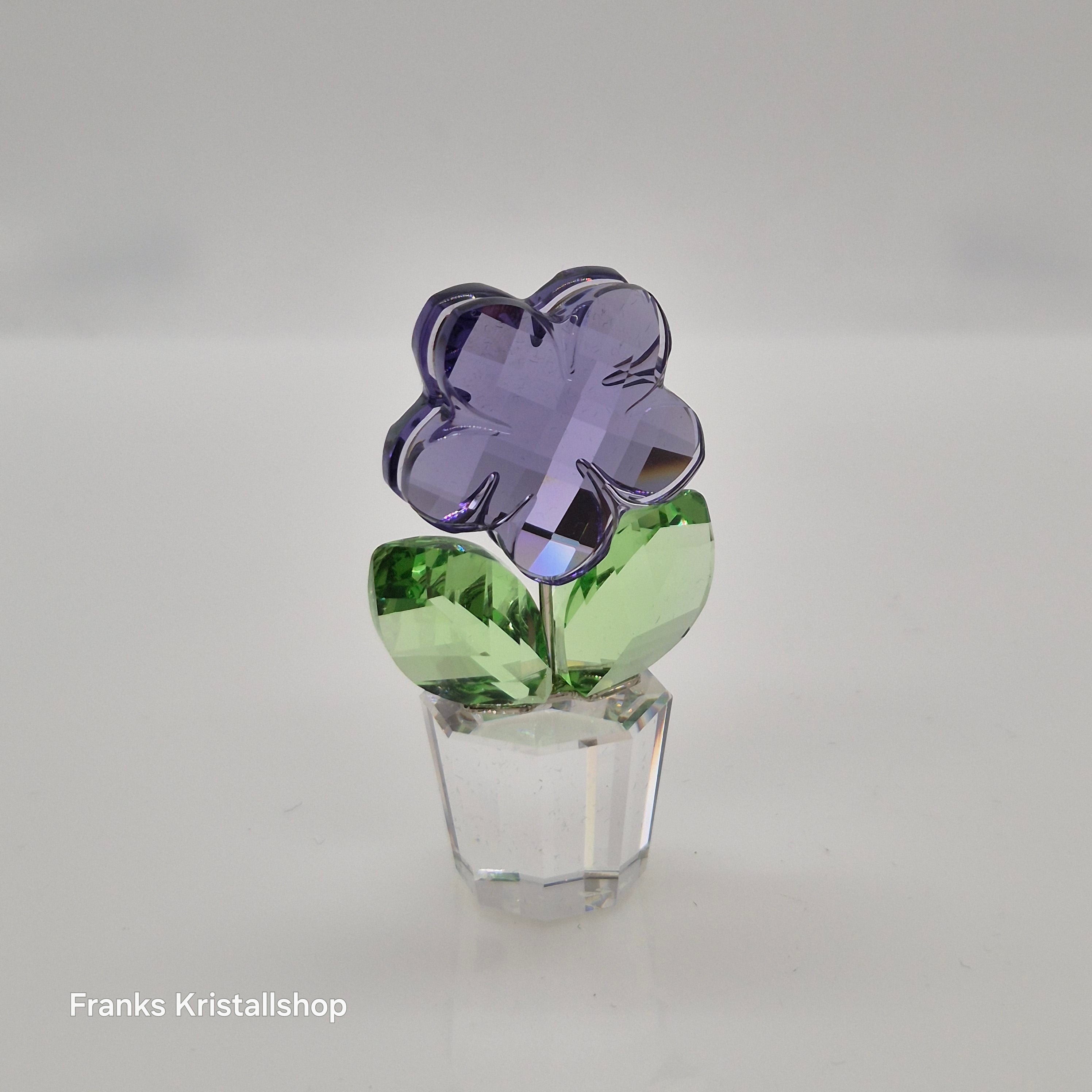 SWAROVSKI Blumenträume Veilchen im Blumentopf 855897 oU