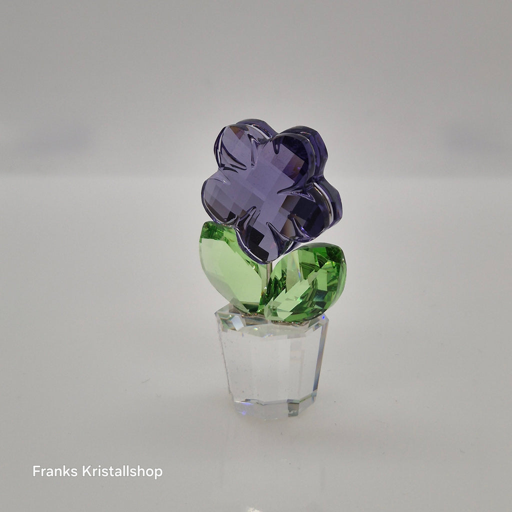 SWAROVSKI Blumenträume Veilchen im Blumentopf 855897 oU