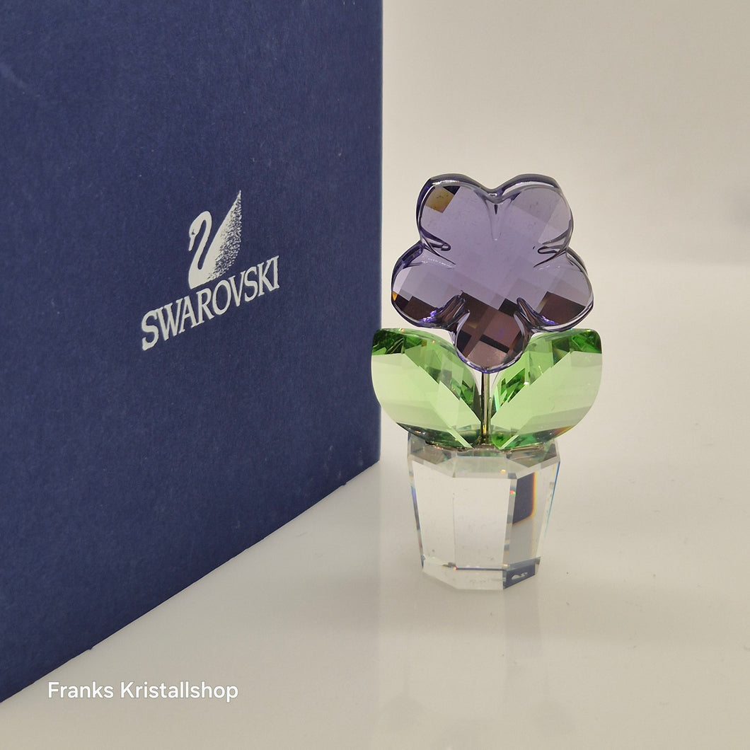 SWAROVSKI Blumenträume Veilchen im Blumentopf 855897 oU