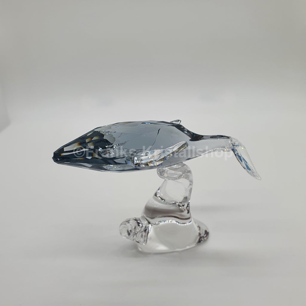 SWAROVSKI SCS Jahresfigur Junger Wal Paikea 1096741